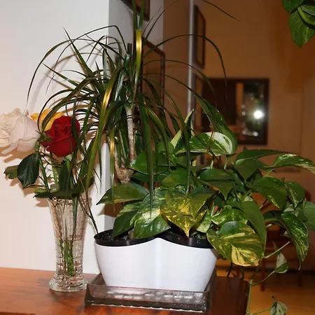 Hotell Sole Mare Sanremo